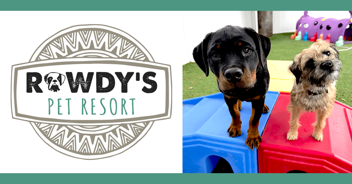 Rowdy's Pet Resort - Image 1